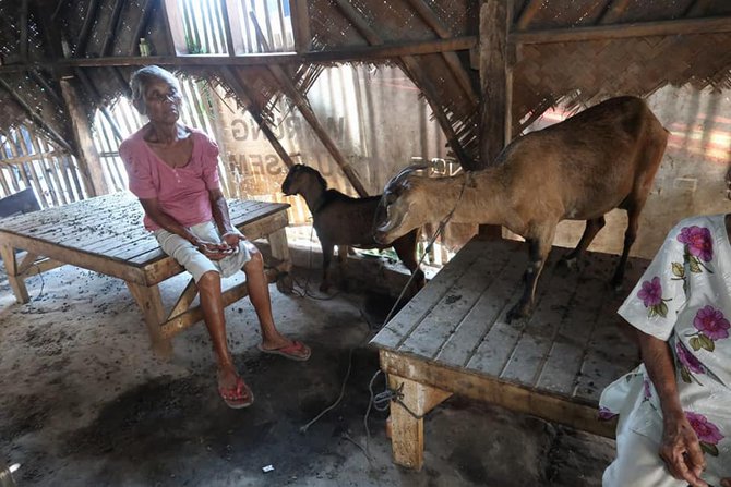 dua lansia di karawang hidup di kandang kambing