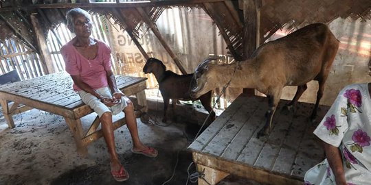 Potret Kemiskinan di RI, Ada Warga Tinggal di Gubuk Reot Hingga Kandang Kambing