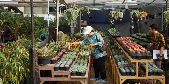 Pameran Flona 2019 Kembali Digelar di Lapangan Banteng