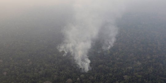 30 Hektare Area di Taman Nasional Bukit Tigapuluh Terbakar