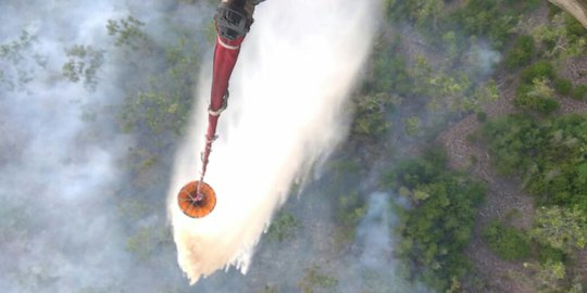 Hingga September, Lahan Terbakar di Sumsel Mencapai 2.200 Hektare