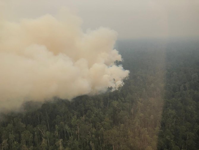 ketua dpd pdip jambi edi purwanto tinjau karhutla di jambi