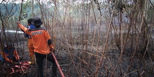 Karhutla di Ibu Kota Baru Penajam Paser Utara Capai 80 Hektare