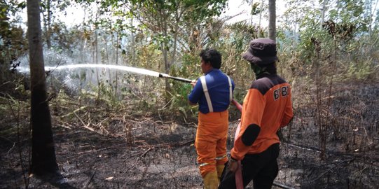 Hingga September 2019, 175 Orang dan 4 Korporasi Jadi Tersangka Karhutla