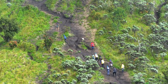 Jalur Pendakian Gunung Merbabu via Selo Ditutup Sementara Akibat Kebakaran