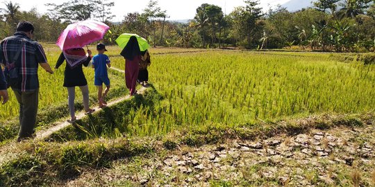 Bupati Tetapkan Garut Darurat Kekeringan