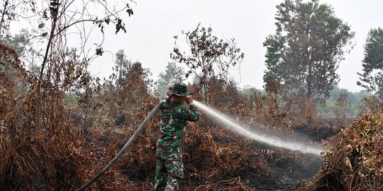 Aksi Prajurit TNI dan BPBD Padamkan Kebakaran Hutan di Kampar