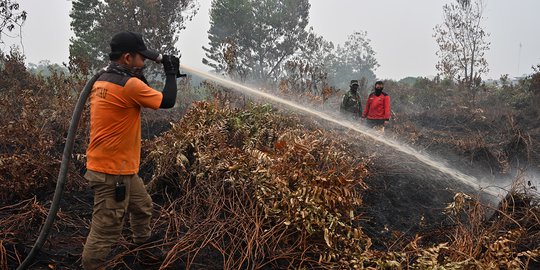 Menteri LHK Sebut 4 Perusahaan Milik Singapura dan Malaysia Terlibat Karhutla