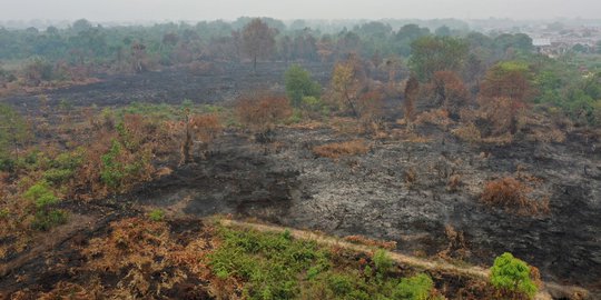 Pantauan Udara Kondisi Lahan Gambut di Riau yang Hangus Terbakar