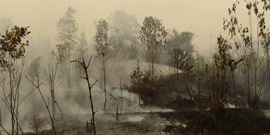Kebakaran di Lereng Hutan Gunung Slamet Capai 14,3 Hektare