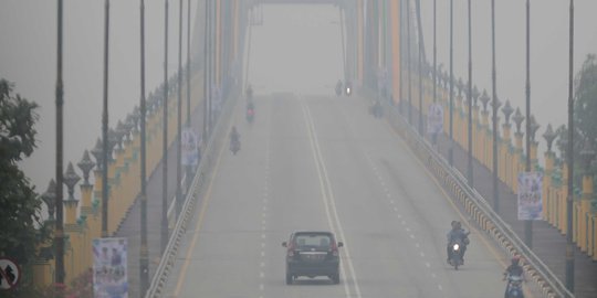 BMKG Sebut Asap Kebakaran Hutan Perburuk Kualitas Udara di Pekanbaru