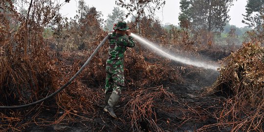 Lahannya Terbakar, 10 Perusahaan di Riau Disegel KLHK