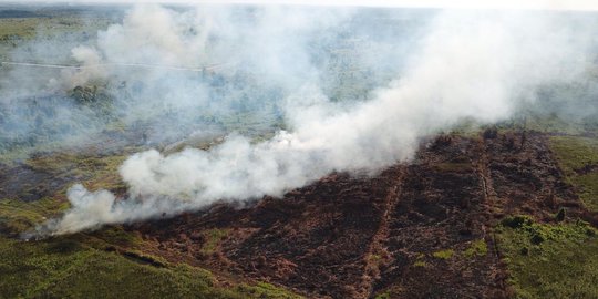 Kaltim Dikepung Asap, Gubernur Isran Noor Tak Percaya Warga Bakar Lahan