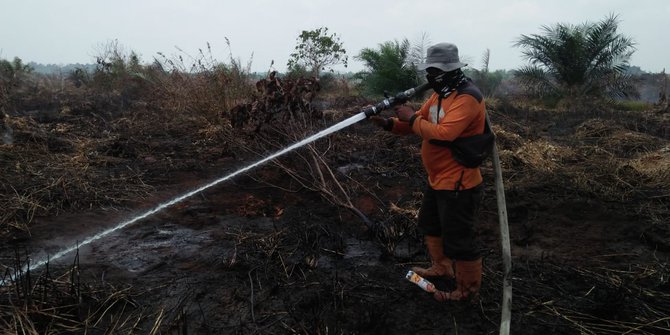 110 Hektare Lahan Gambut di Ibu Kota Baru Hangus dalam Sepekan