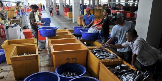 Transaksi di Pasar Ikan Modern Sentuh Rp7 Miliar per Hari