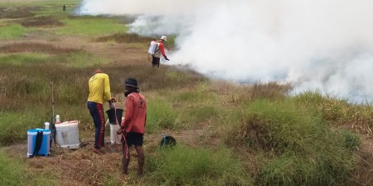 Lahan Terbakar di Sumsel Hingga Hari ini Capai 3.514 Hektare