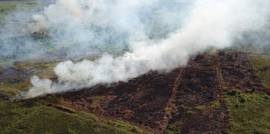 KLHK: Kabut Asap di Kalimantan Kemungkinan Dipicu Kebakaran di Australia