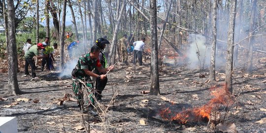 Dalam 4 Bulan, 60 Hektare Lebih Hutan di Ponorogo Terbakar