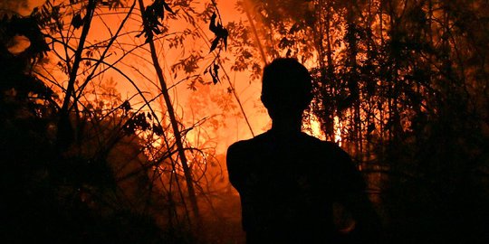 Janji-Janji Jokowi Bebaskan Indonesia dari Kebakaran Hutan Kini Ditagih Publik