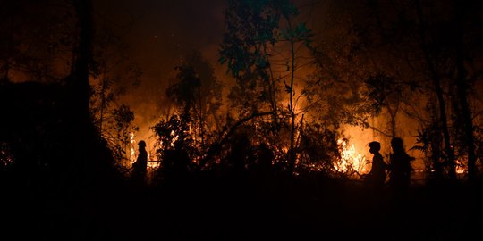 Kegeraman Jokowi Saat Kebakaran Hutan dan Lahan Tak Bisa Diatasi Cepat