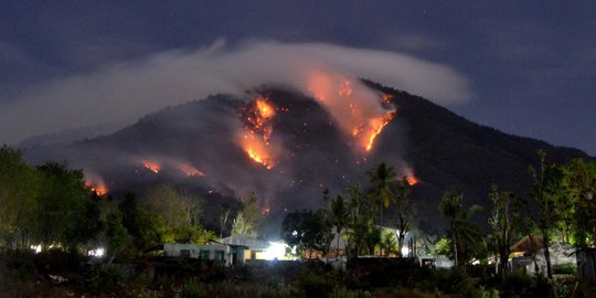 Hutan Gunung Ile Mandiri Flores Timur Terbakar Sejak Senin Siang