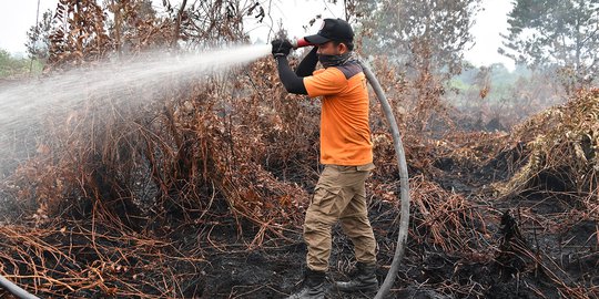 Anggota DPR Salahkan Kementerian LHK Gagal Cegah Kebakaran Hutan