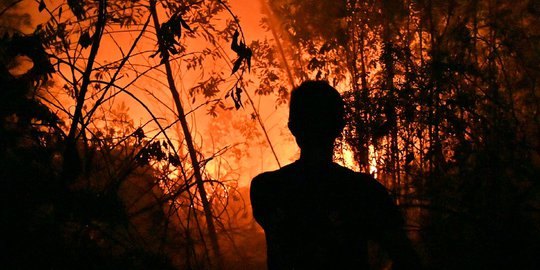 Polisi Tetapkan 228 Tersangka Pembakar Hutan di Sumatera & Kalimantan