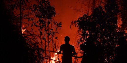 1 Korporasi & 23 Perorangan di Sumsel Jadi Tersangka Kebakaran Hutan