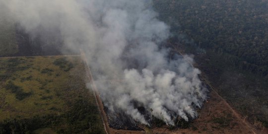 BNPB Ungkap Kendala Pemadaman Kebakaran Hutan di Sumatera & Kalimantan Via Udara