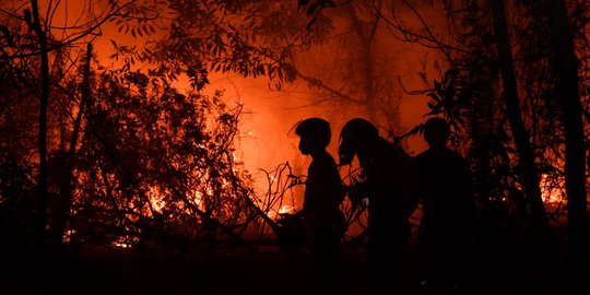 TNI Fokuskan Penanganan Kebakaran di Lokasi Calon Ibu Kota Baru