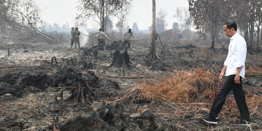 Jokowi Tinjau Karhutla Riau: Kalau Sudah Kejadian Sulit Memadamkan