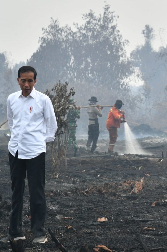 jokowi tinjau lokasi kebakaran hutan