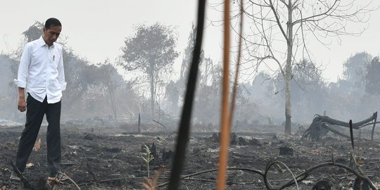 Jokowi: Pemadaman Kebakaran Hutan dan Lahan Pekerjaan Luar Biasa
