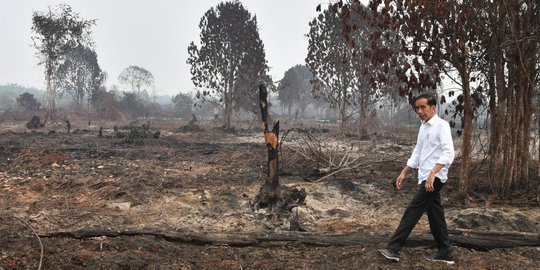 Raut Wajah Jokowi Saat Blusukan ke Lokasi Kebakaran Hutan Riau