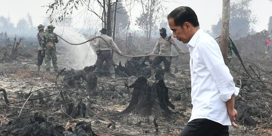 Moeldoko Sebut Tak Bisa Copot Pangdam saat Masa Kritis Kebakaran Hutan