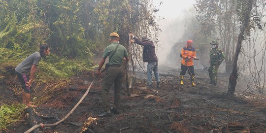 Kebakaran Lahan Nyaris Hanguskan Rumah Sri saat Jokowi ke Riau