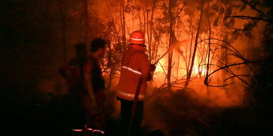 Darurat Karhutla, Ini Data Kebakaran Hutan di era Jokowi Periode Pertama