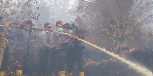 darurat karhutla, ini data kebakaran hutan di era jokowi periode pertama