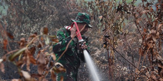 darurat karhutla, ini data kebakaran hutan di era jokowi periode pertama