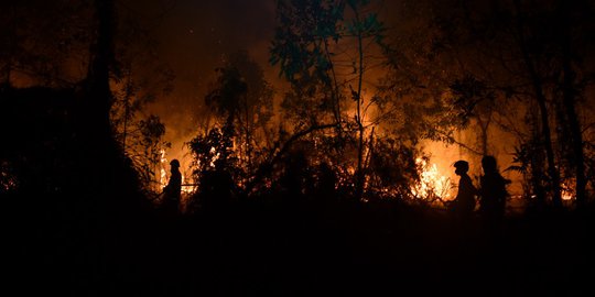 Kerugian atas Kebakaran Hutan Gunung Merbabu Diperkirakan Rp300 Juta