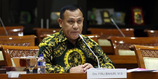 Irjen Firli Bahuri Jadi Ketua KPK, Jokowi Bilang Itu Kewenangan DPR