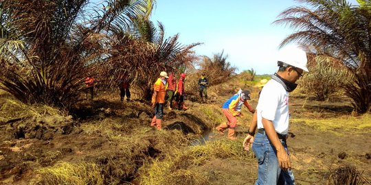 900 Hektare Lahan Gambut yang Terbakar di Kalsel akan 'Ditenggelamkan'