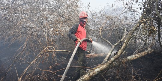 Perjuangan Petugas Terus Padamkan Kebakaran Hutan dan Lahan di Riau