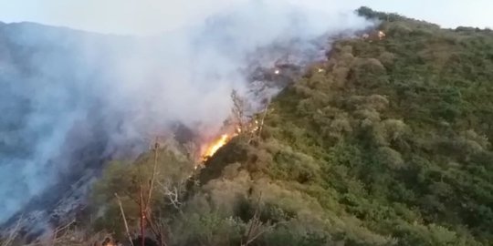 Terkendala Air, Pemadaman Kebakaran di Gunung Slamet Pakai Ranting