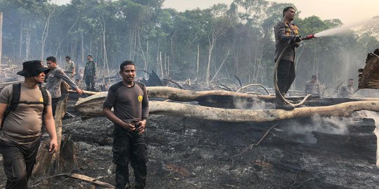 8 Pembakar Lahan di Berau Ditangkap, Pelaku Pura-pura Panik Lihat Kobaran Api