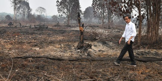 Tinjau Kebakaran Hutan, Sepatu Kotor Jokowi Jadi Sorotan Netizen