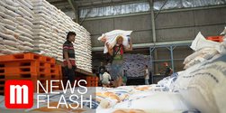 VIDEO: Indonesia Tak Impor Beras Hingga 2020