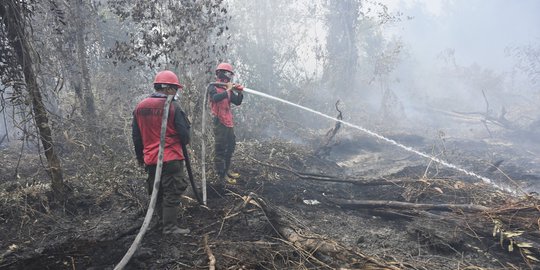 Banyak Flora dan Fauna Mati Akibat Kebakaran Hutan dan Lahan di Kalteng