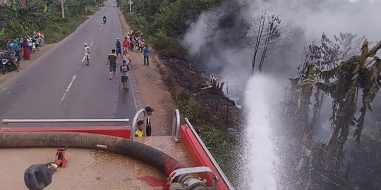 Pertamina EP: Kebakaran Hutan Tak Ganggu Operasional Perusahaan