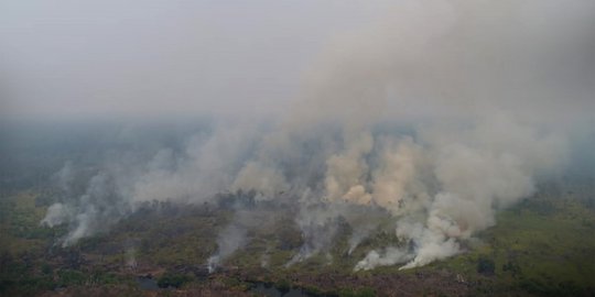 Kabut Asap Berbahaya, Wali Kota Pekanbaru ke Kanada Selama Sepekan